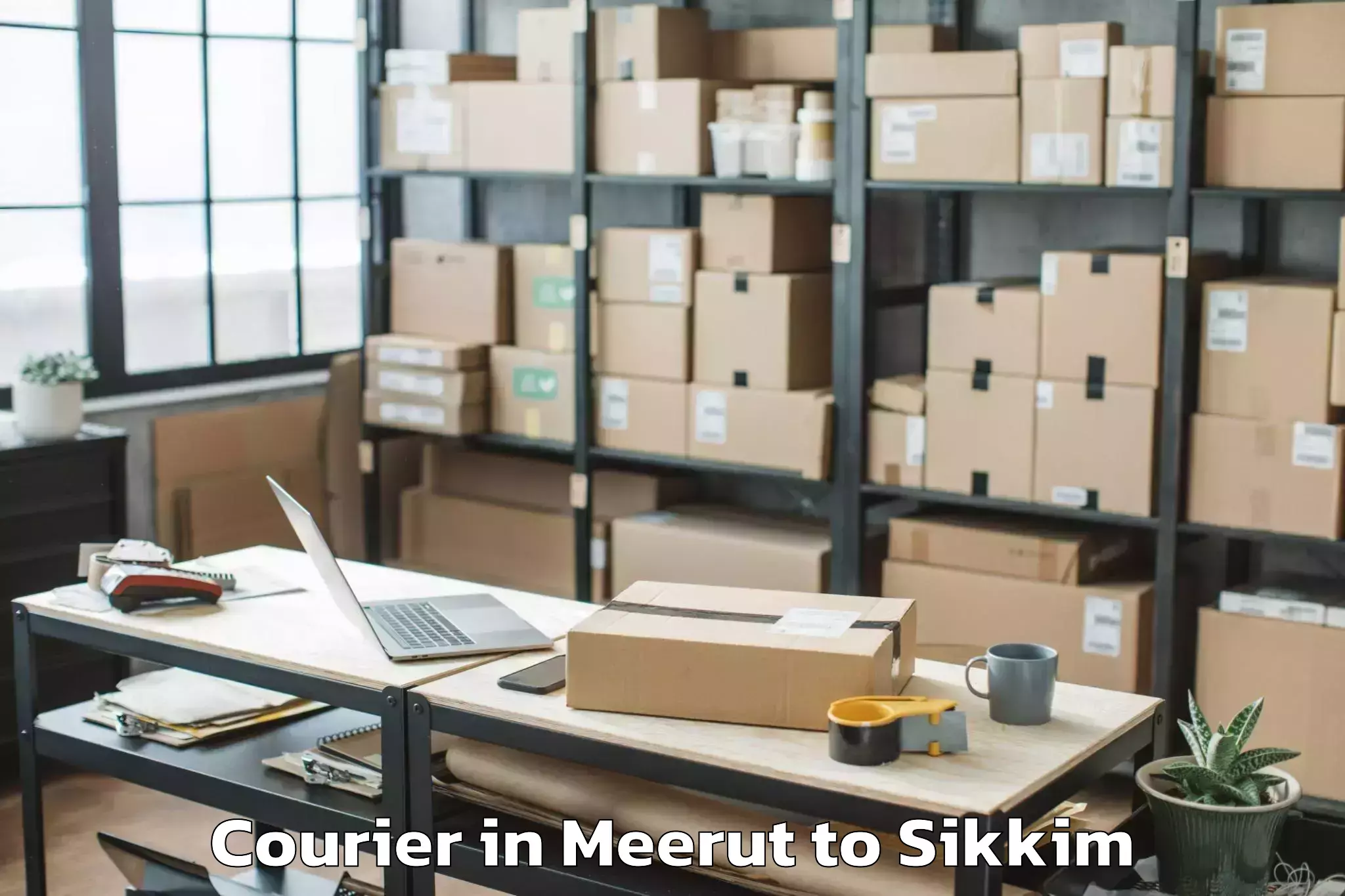 Get Meerut to Eiilm University Jorethang Courier